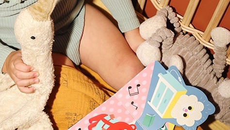 livre bébé bonne nuit arrhenius